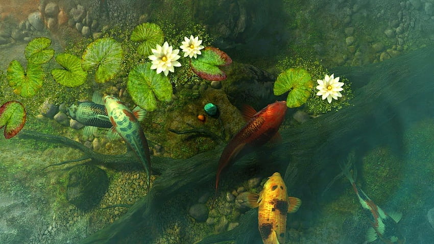 Koi Pond - Garden 3D Screensaver & Live, 일본 잉어 연못 HD 월페이퍼