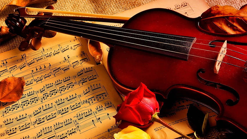 px Beleza música Notas rosa Violino Alta qualidade , Alta definição, Arte do violino papel de parede HD