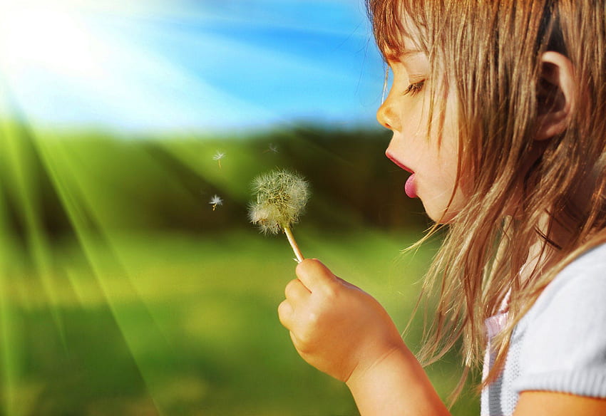 Sweet Child Girl Blowing Dandelion Plant HD wallpaper