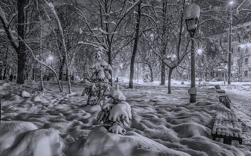 kiev'de bir parkta kış geceleri r, kış, gece, şehir, lambalar, ağaçlar, banklar, r, park HD duvar kağıdı