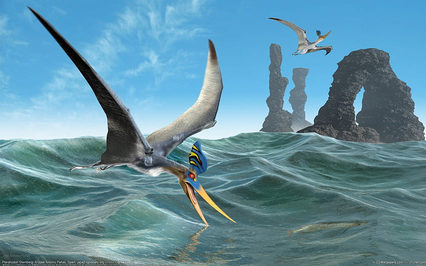 Pterosaur by Jose Antonio Penas, jose antonio penas, bird, dinasour, pterosaur, quetzalcoatlus northropi HD wallpaper