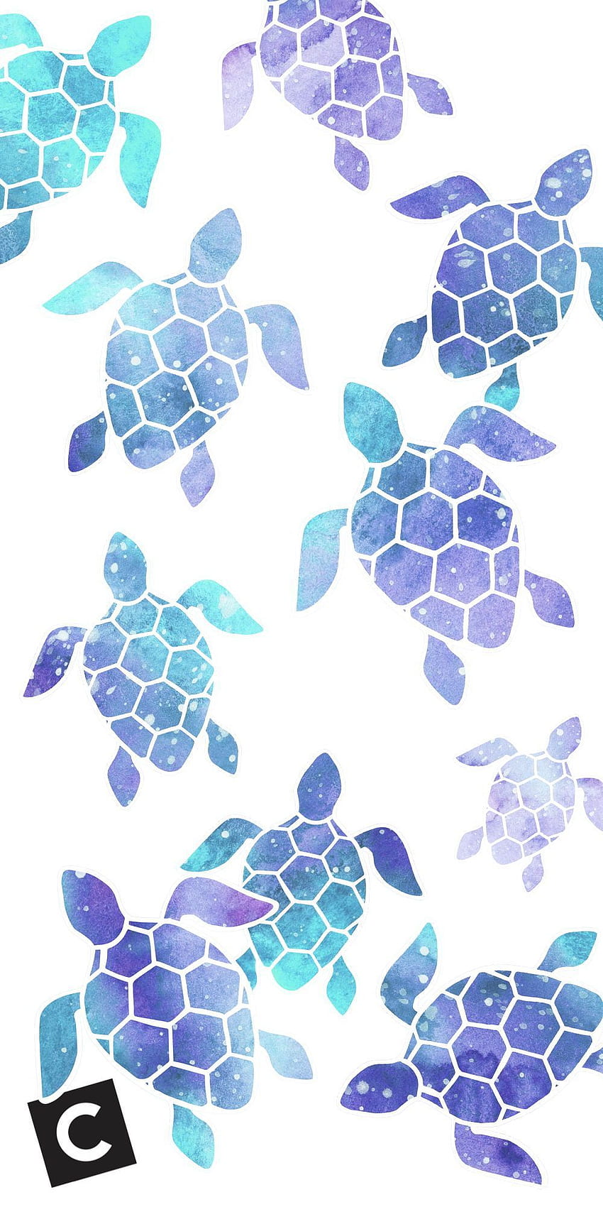 Turtle art Images  Search Images on Everypixel