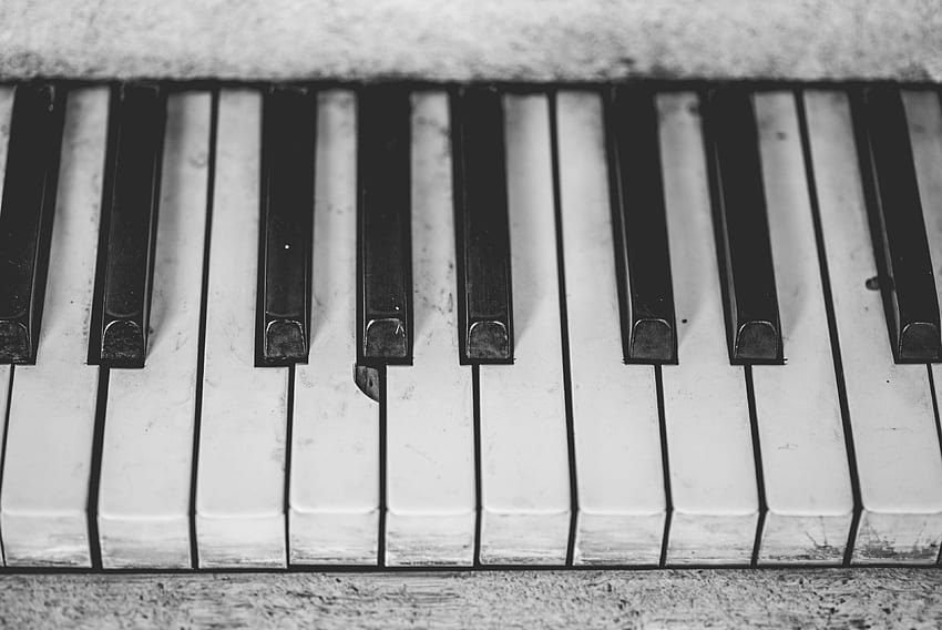 โบราณ ขาวดำ คลาสสิก ใกล้ชิด เครื่องดนตรี เปียโน วินเทจ เปียโนสีขาว วอลล์เปเปอร์ HD