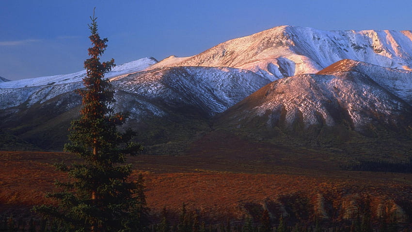 Denali Nat'l Park, Аляска, Природа, Национални паркове, Пейзажи, Планини, Аляска HD тапет