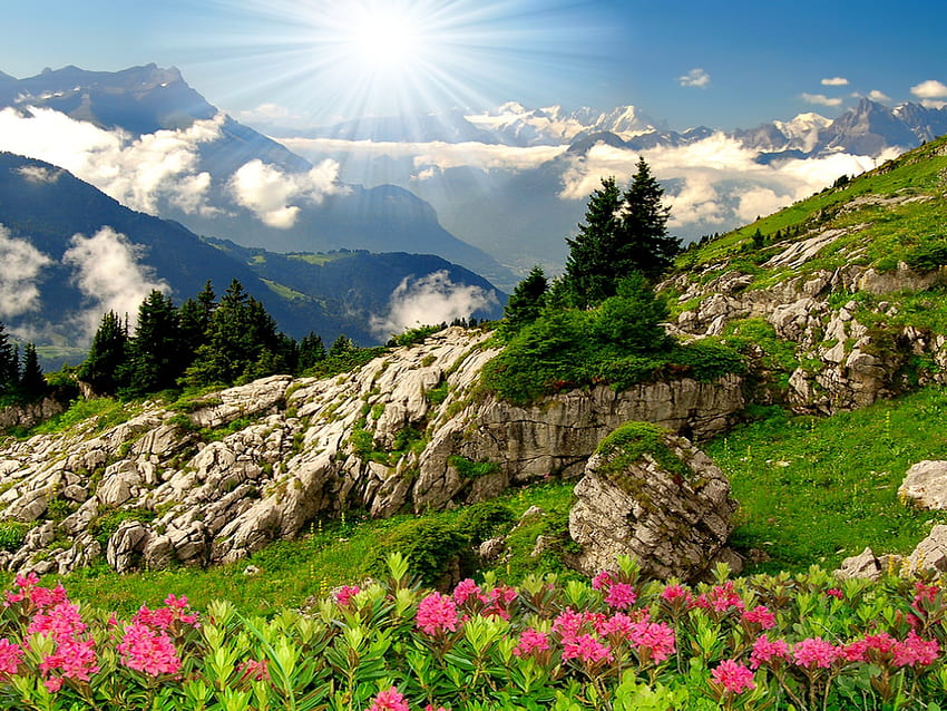 สวรรค์บนภูเขา รังสี เนินเขา ความลาดชัน สวรรค์ หญ้า หิน ภูเขา ความสด เขียวขจี ดอกไม้ ท้องฟ้า ดวงอาทิตย์ วอลล์เปเปอร์ HD