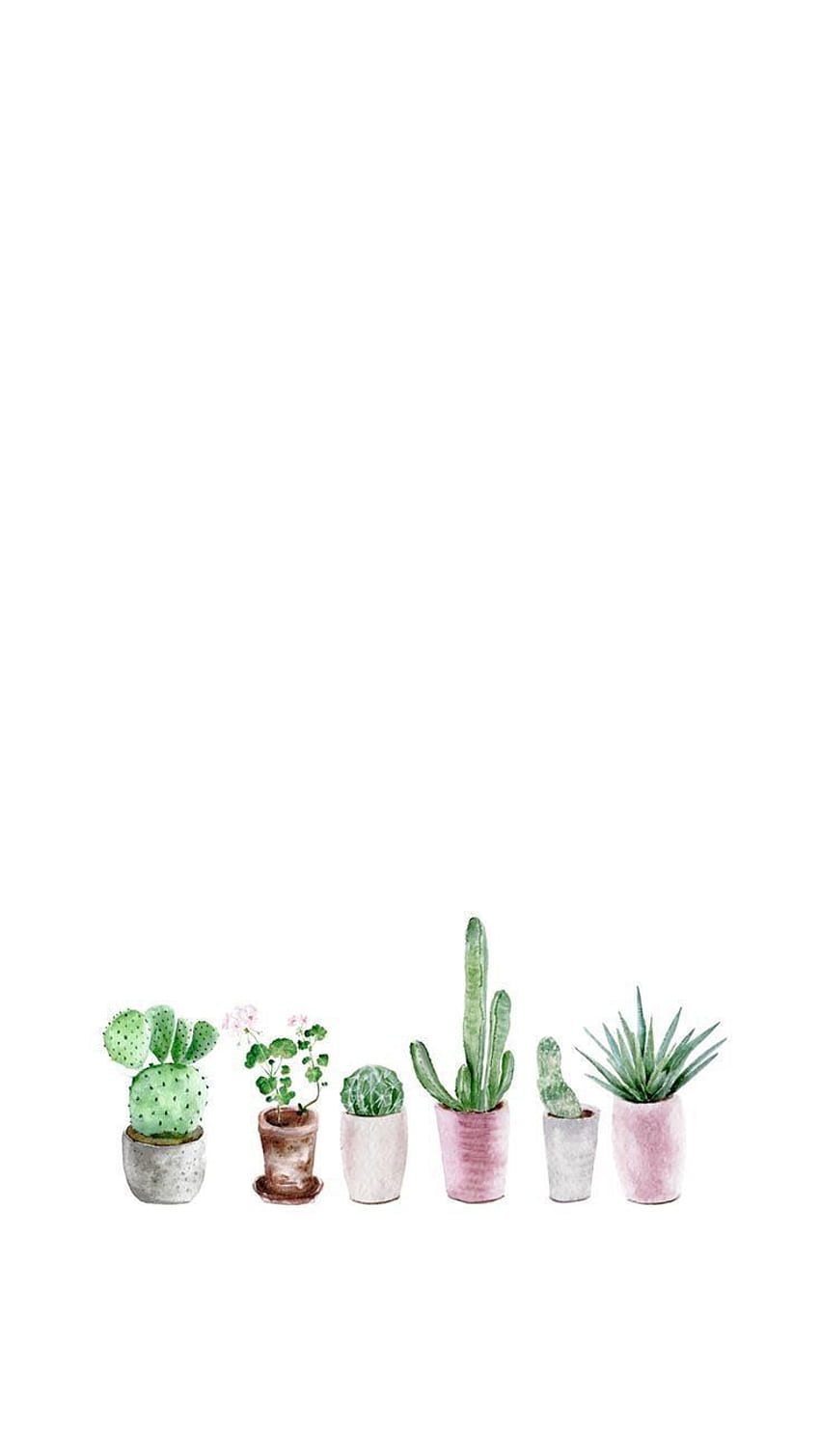 iPhone and Android : Succulent Watercolor for iPhone and Android. Simple iphone , Watercolor , Watercolor iphone, Cute Aesthetic Succulent HD phone wallpaper
