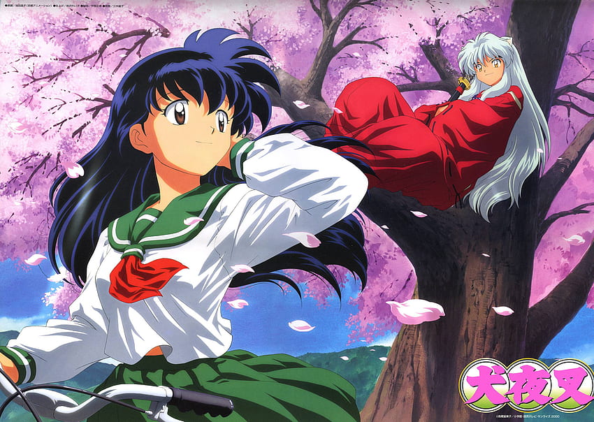 Top 5 Romance Animes – Junkie Monkeys, Romantic Anime Inuyasha HD wallpaper  | Pxfuel
