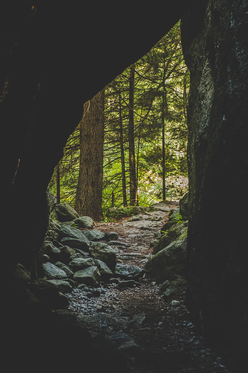 Nature, Trees, Stones, Forest, Path, Cave, Trail HD phone wallpaper