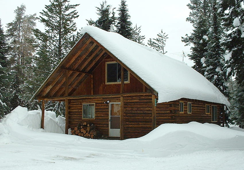 シェルター、冬、雪、寒さ、木々、四季、自然、森、小屋 高画質の壁紙