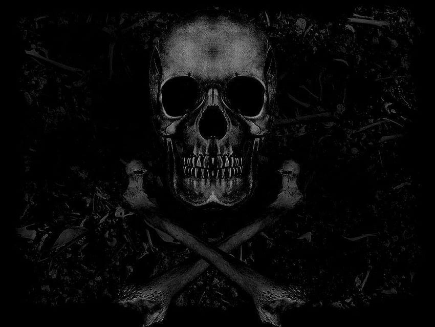 Schädel und Knochen HD-Hintergrundbild