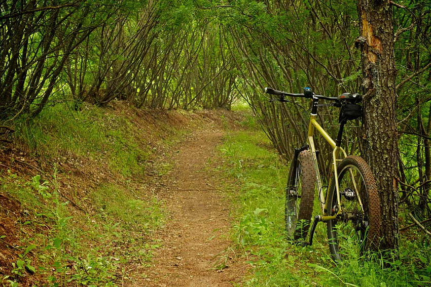 Mountain Bike Trail Pics HD wallpaper