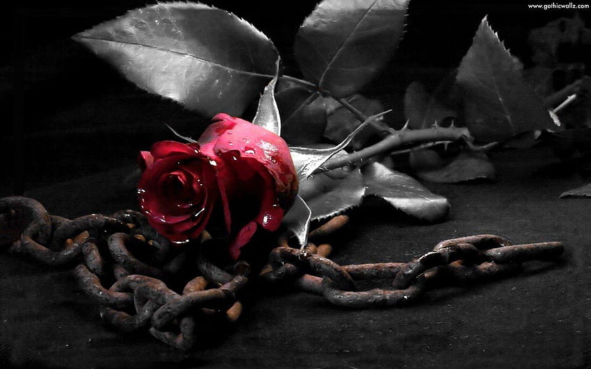 Gothic Black And Red Rose, Cross and Roses HD wallpaper | Pxfuel