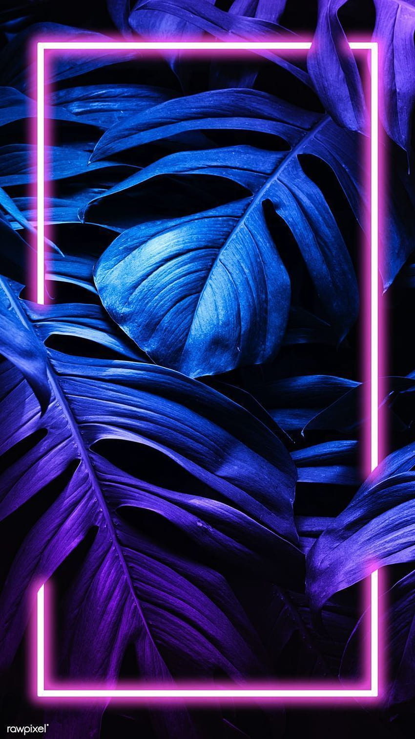 Niebieski, fioletowy, jasny, fioletowy, elektryczny niebieski, roślina. Обои, Лесные обои, Фиолетовые фоны, Blue Purple Neon Tapeta na telefon HD