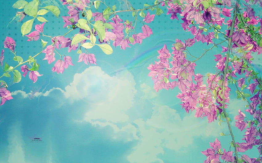 春のピンクの青い空、ピンクと青い空 高画質の壁紙