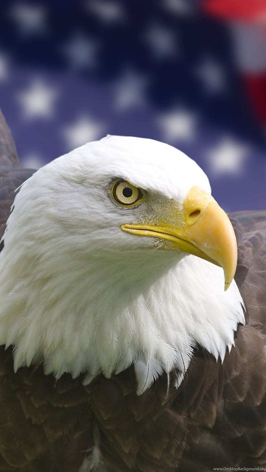 Một màn hình iPhone với hình nền đại diện cho USA Bald Eagle rất phù hợp cho bạn, mang đến cảm giác tự hào và tràn đầy niềm tin vào đất nước mình. Hãy đến và khám phá những hình nền tuyệt đẹp về đại diện của nước Mỹ này. 