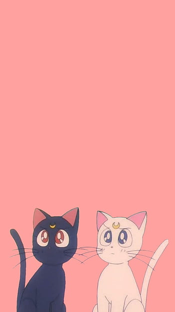 Best of cute anime cat HD wallpapers | Pxfuel