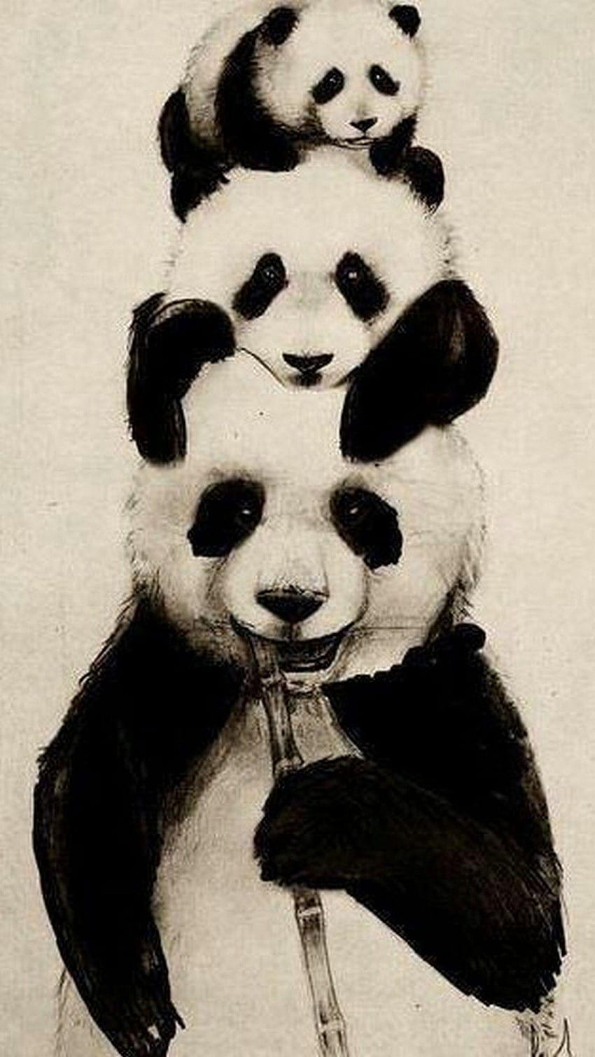 Дизайнерска панда, гангстерска панда HD тапет за телефон