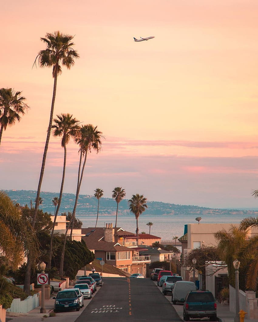 Los Angeles, California, California'nın her yerinde pembe gökyüzü ve palmiye ağaçları Yaz HD telefon duvar kağıdı