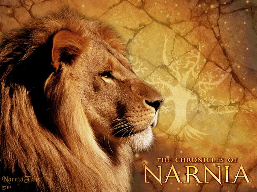 Narnia Aslan under cloudy skies HD wallpaper