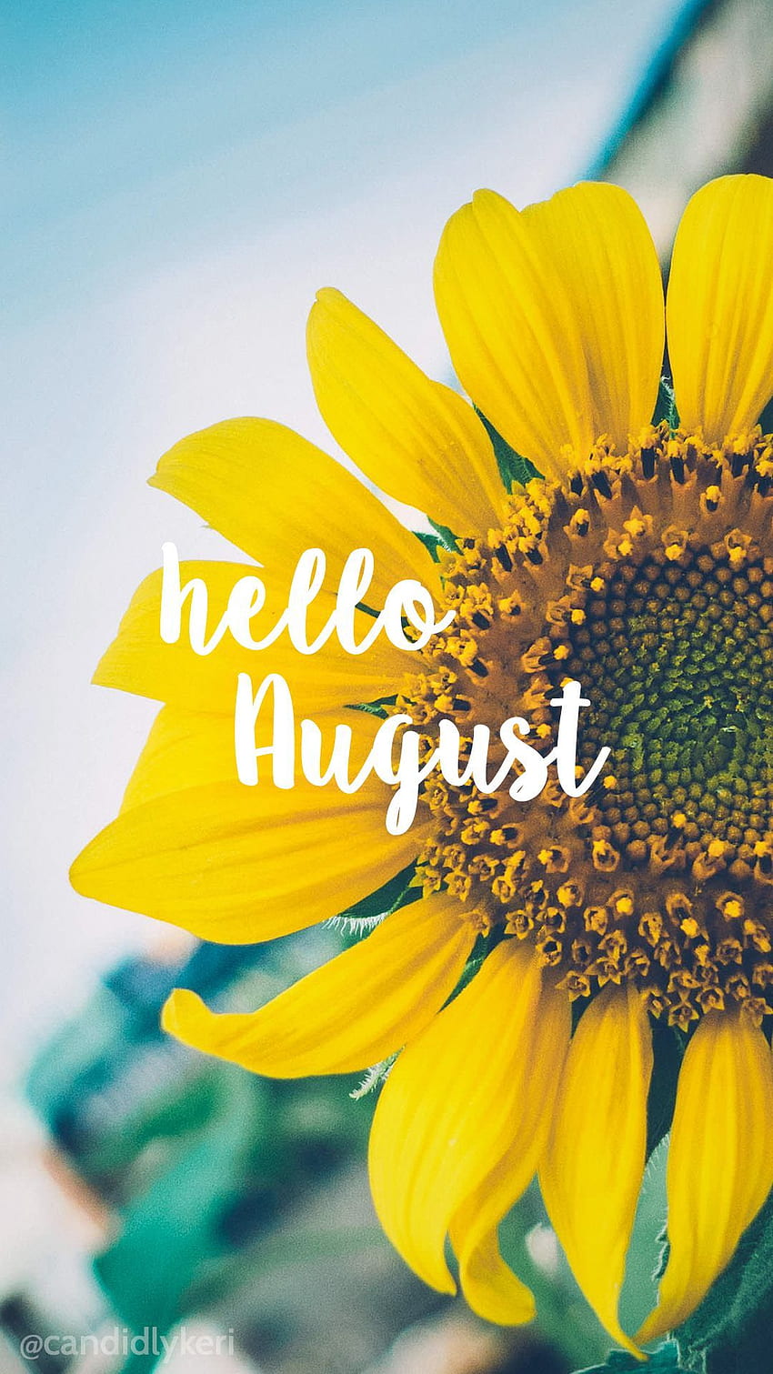 Hello august backgrounds HD wallpapers | Pxfuel