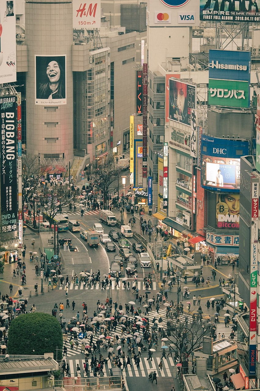 Shibuya Geçişi, Shibuya, Japonya HD telefon duvar kağıdı