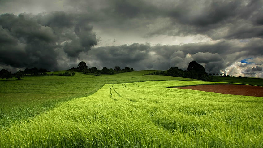 Nubi temporalesche su un campo di grano verde e [] per il tuo , cellulare e tablet. Esplora Tempesta di primavera. Temporale per , Live Sfondo HD