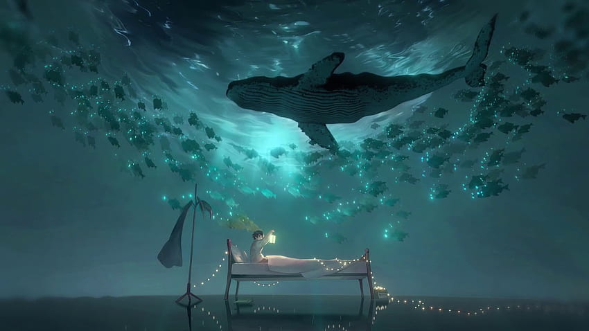 Dream Whale Live Xanh Partager [] pour votre , Mobile & Tablet. Explorez le fond des baleines. Baleine , Baleine Bleue , Orque , Baleine Dessin Animé Fond d'écran HD