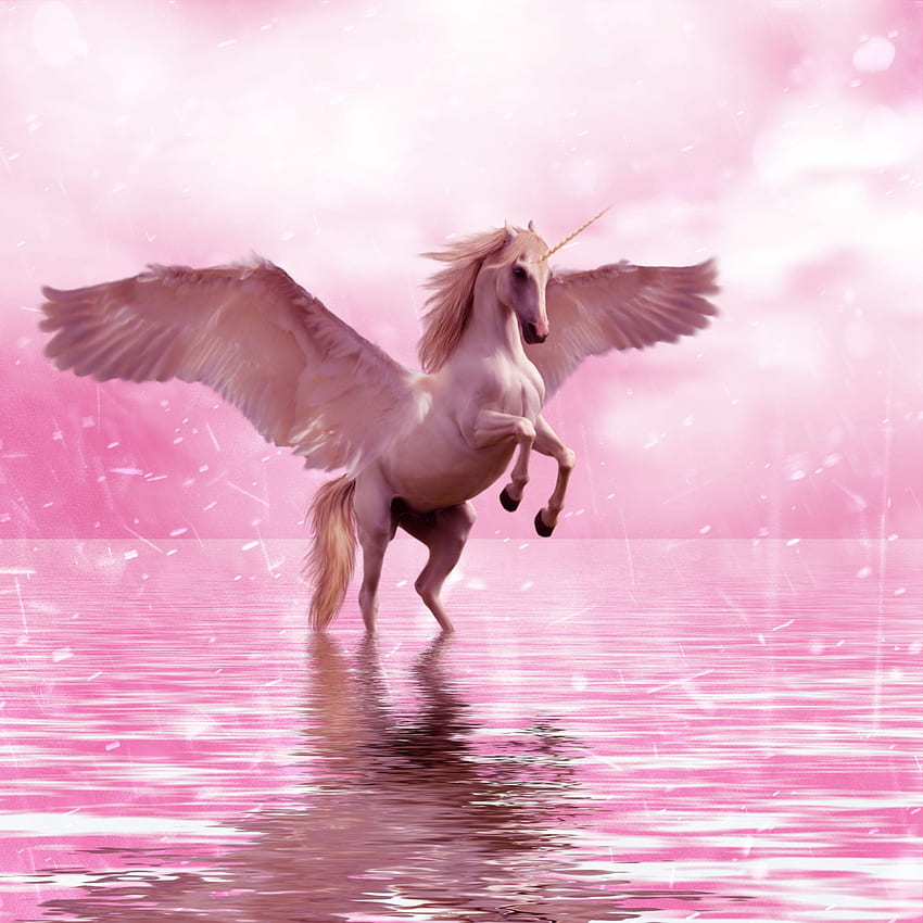 Unicorn on body of water , wings, horse, fantasy, animal • For You For & Mobile, Aesthetics Dragons Water HD phone wallpaper
