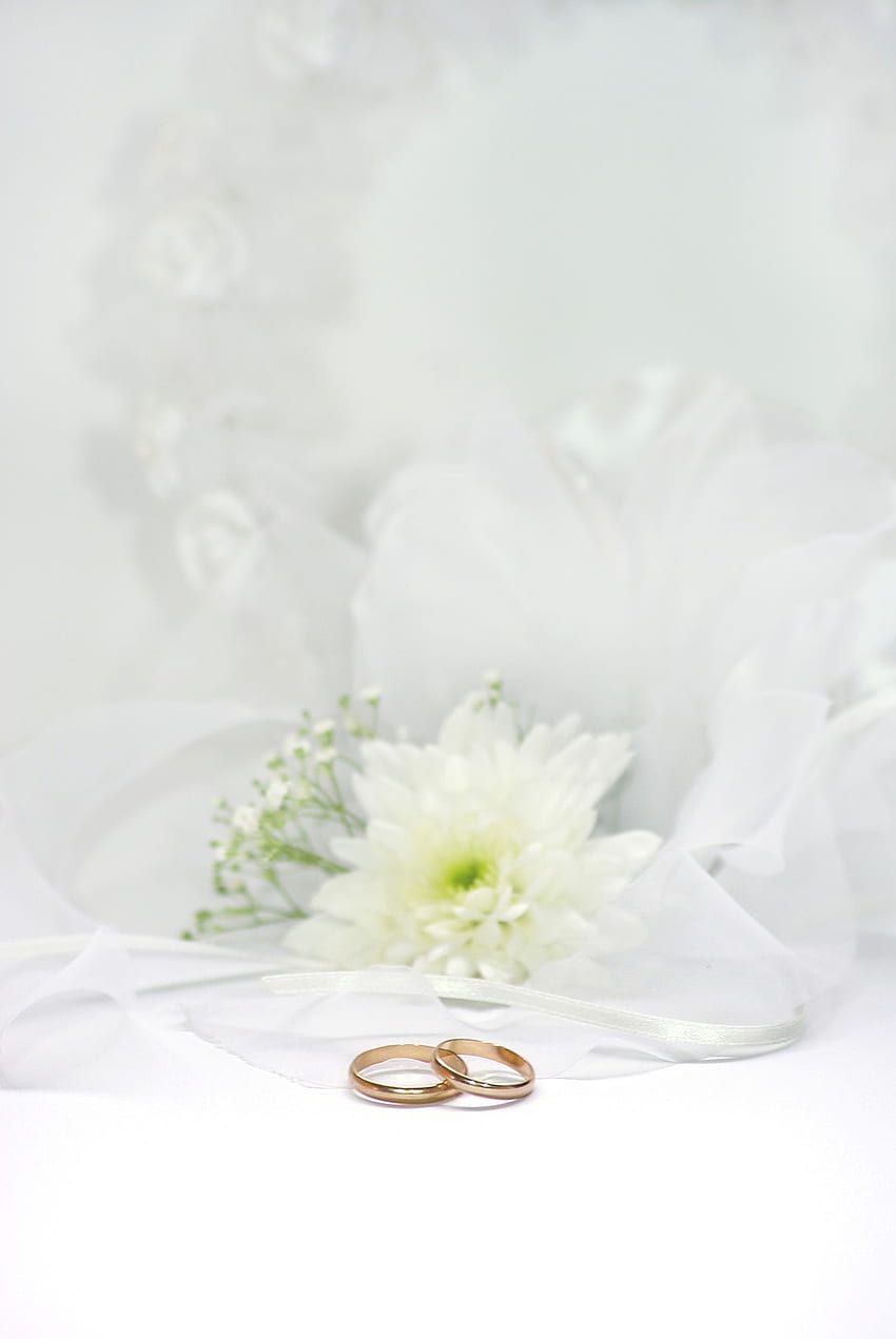 Trauringe zu heiraten, Ehering iPhone HD-Handy-Hintergrundbild