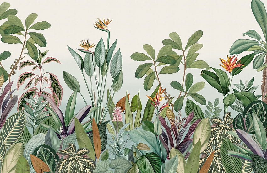 Peinture murale de paysage de jungle tropicale, plantes de jungle Fond d'écran HD