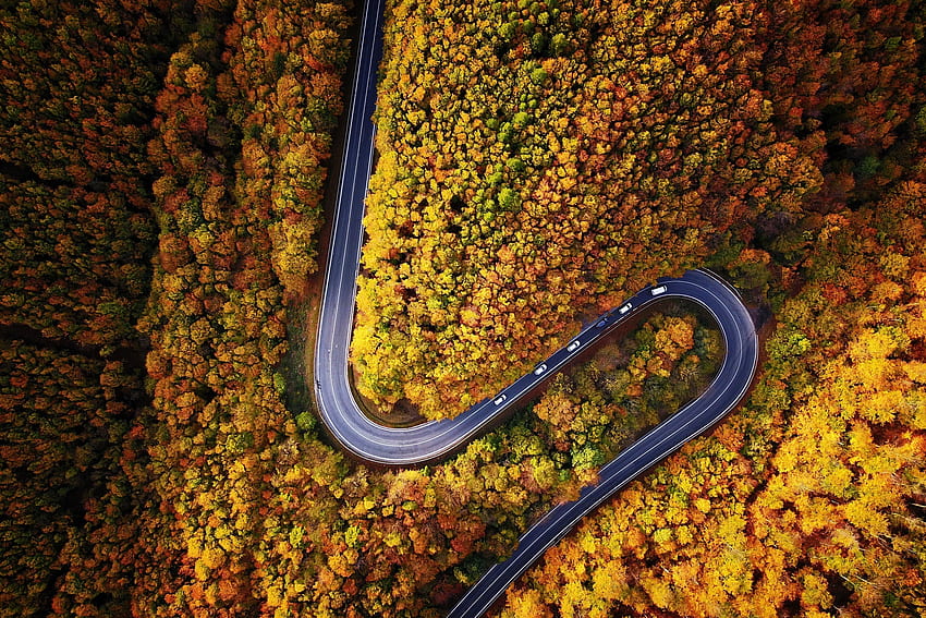 Highway, turn, forest, autumn, aerial view HD wallpaper