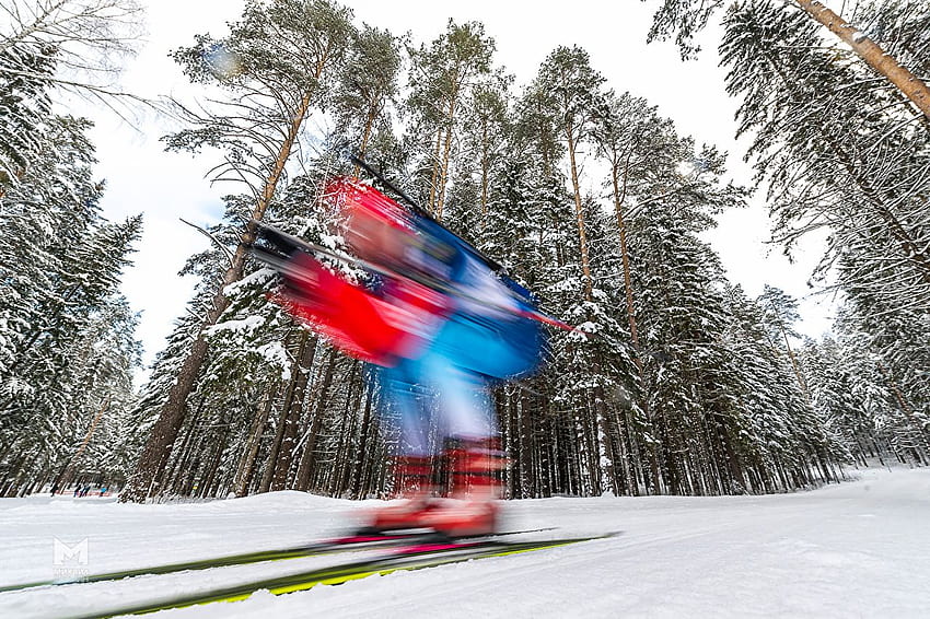 Biathlon Sport Nature Hiver Neige Forêts Fond d'écran HD