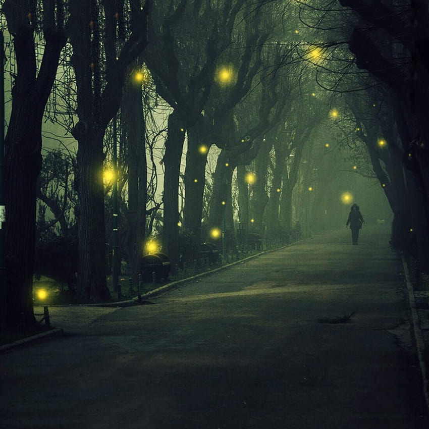 Fireflies Live for Android, Lightning Bug HD phone wallpaper