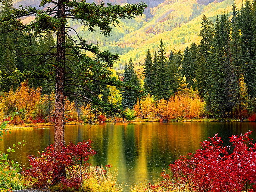 Есенен пейзаж, отражение, падане, червено, цветове, красиво, природа, езеро, планина HD тапет