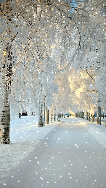 Winter Aesthetic Computer Wallpapers  Top Free Winter Aesthetic Computer  Backgrounds  WallpaperAccess