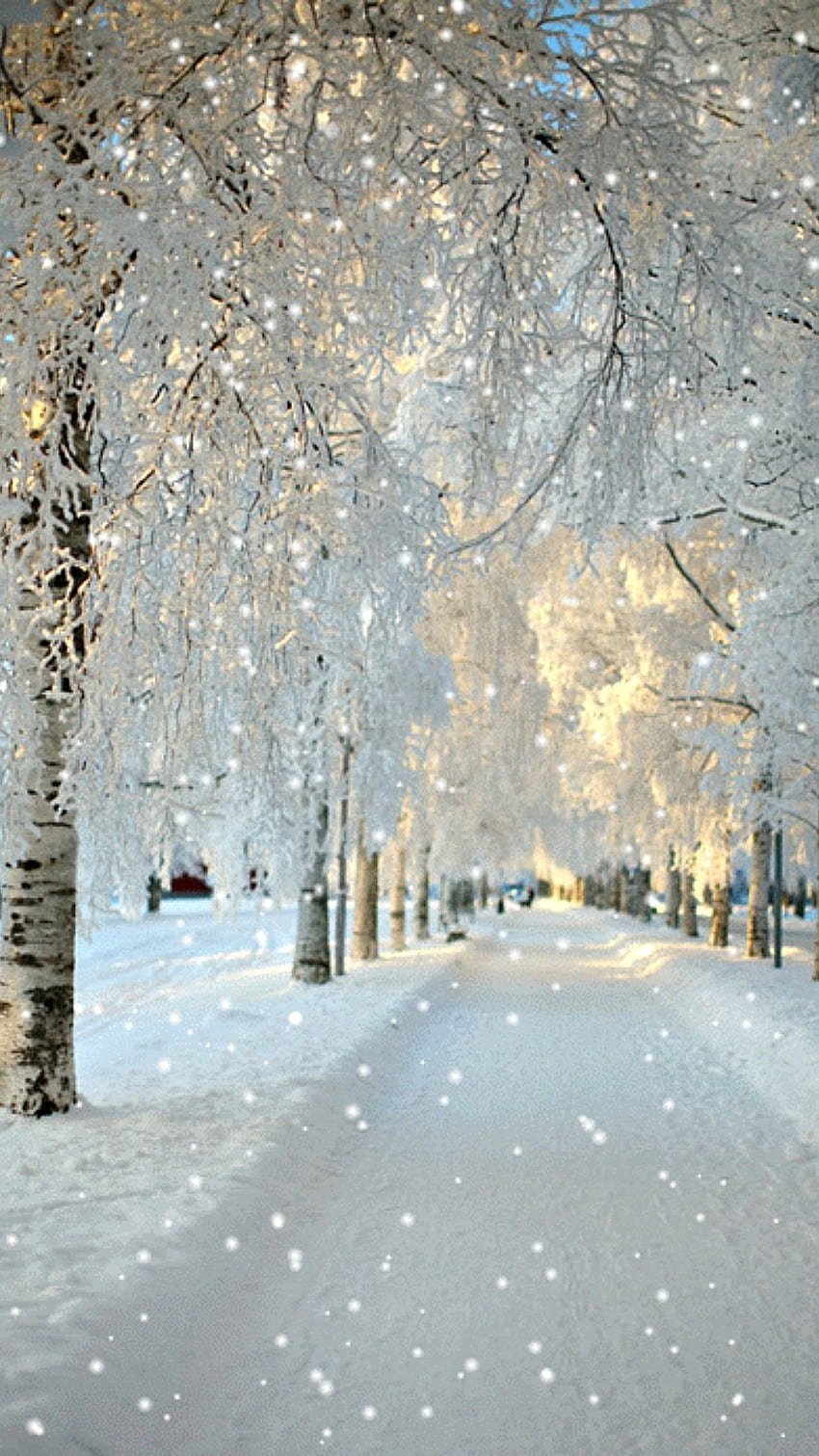 눈, 겨울 미학 HD 전화 배경 화면