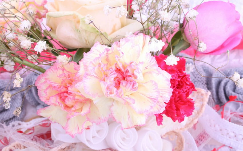 Piękne kwiaty, miękkie, kwiaty, kwiat, płatki Tapeta HD