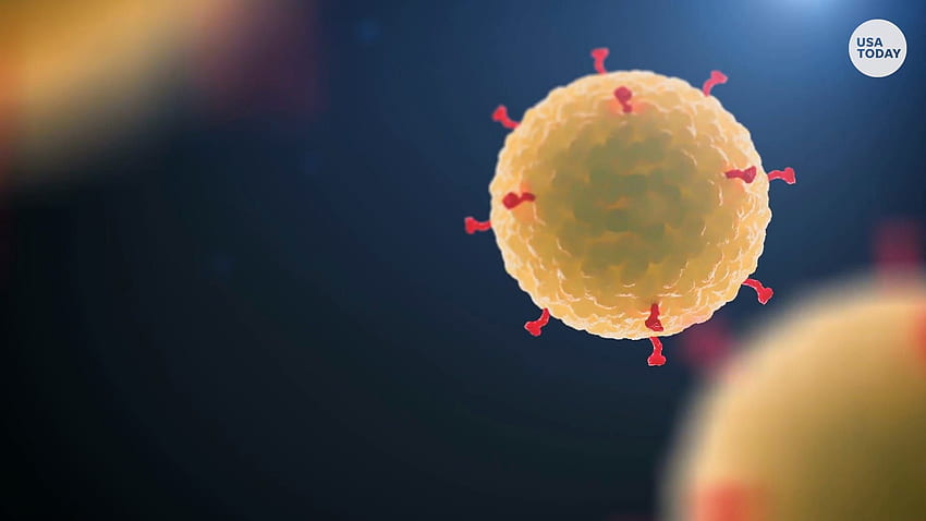 ตรวจสอบข้อเท็จจริง: วัคซีนโคไม่เกี่ยวข้องกับไวรัสโคโรนาสายพันธุ์ใหม่ โควิด 19, โควิด-19 วอลล์เปเปอร์ HD