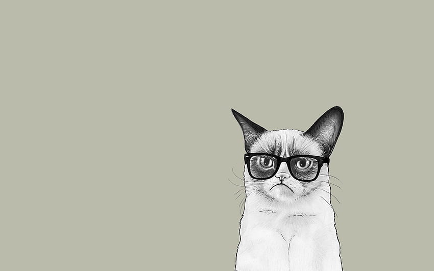 Mürrische Katze . ศิลปะ, วอลเปเปอร์, พื้นหลัง HD-Hintergrundbild