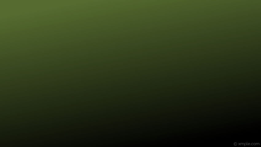 Vert olive - Dégradé vert olive foncé - & Fond, Vert armée Fond d'écran HD