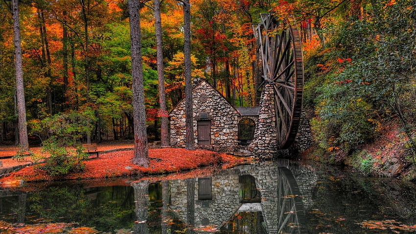 fantastic large wheel stone mill r, wheel, mill, autumn, r, forest, strem, reflections, stones HD wallpaper