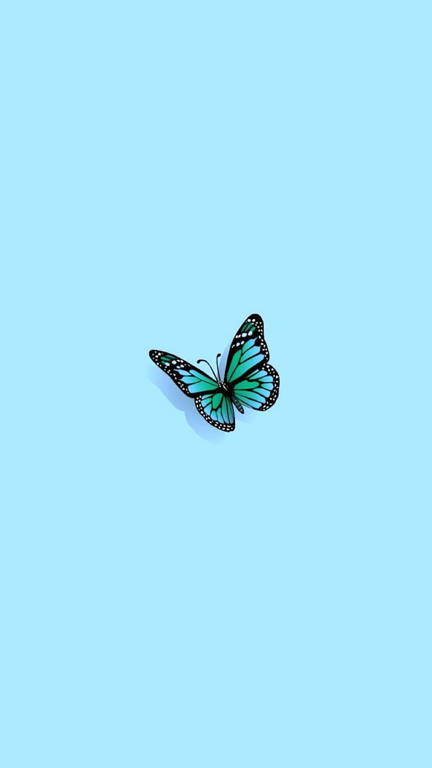einzelner Schmetterling. Blaugrünes iPhone, ästhetisches Pastell, hellblaue Ästhetik HD-Handy-Hintergrundbild