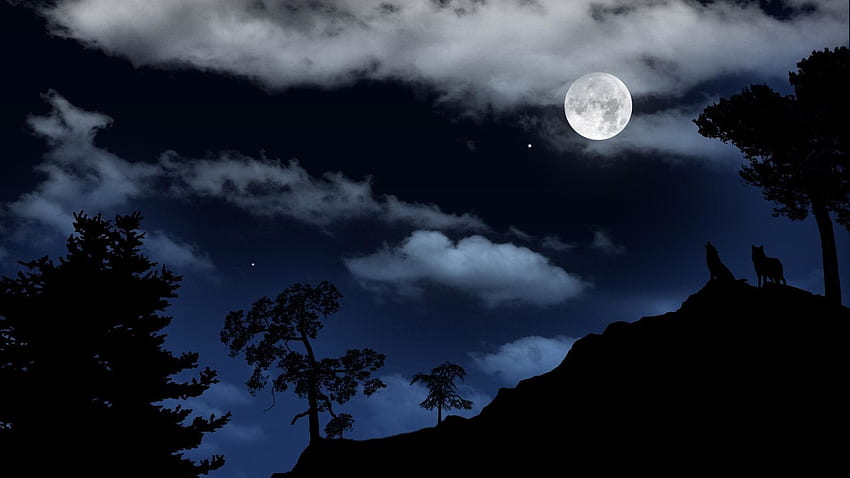 Wolf Howling at the Moon, Full Moon HD wallpaper