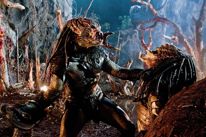 Editorial It's Time We Recognize That 'Predators' Was an Awesome Movie - Bloody Disgusting, Berserker Predator HD wallpaper