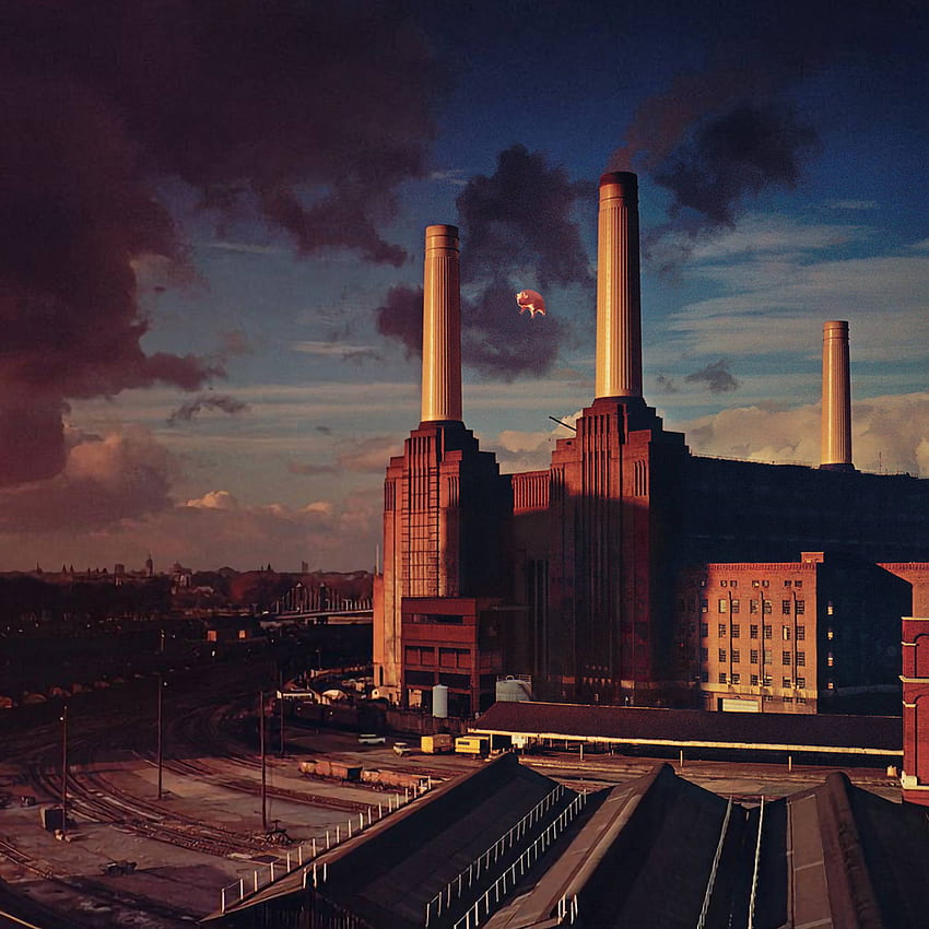 Pink Floyd Animals 앨범 커버 iPad Air, 음악, 배경 HD 전화 배경 화면
