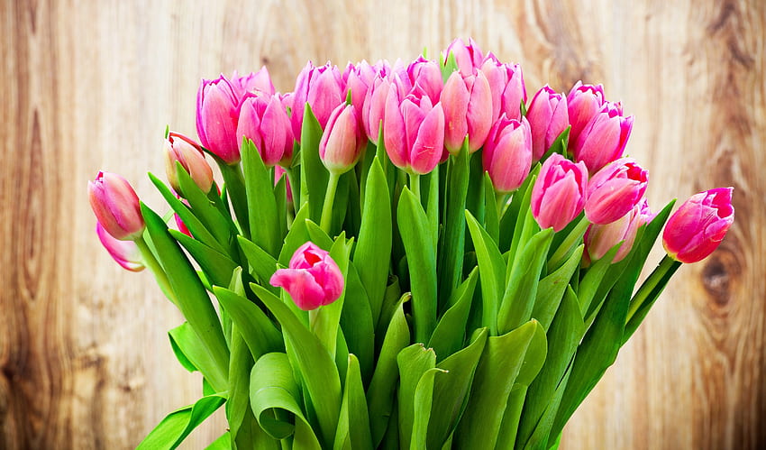 Różowe tulipany, różowe, tulipanowe, kwiatowe, ładne Tapeta HD