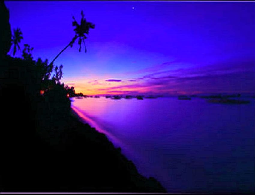 Matahari terbit satin biru, langit biru, pohon palem, merah muda, danau biru, emas, matahari terbit, garis pantai Wallpaper HD