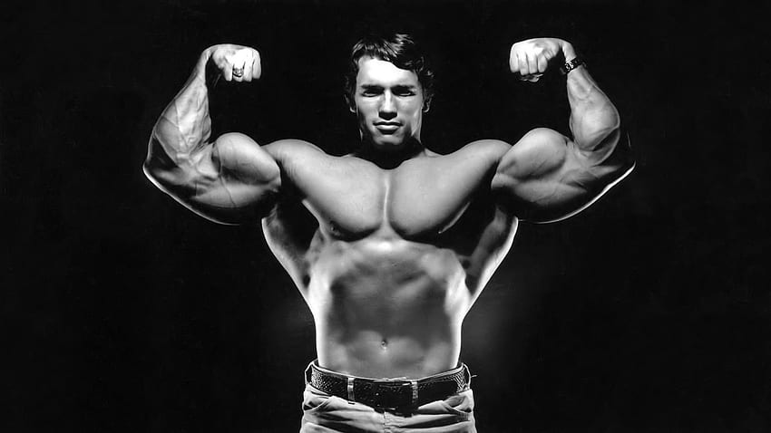 Arnold Schwarzenegger  Health and fitness Old School Bodybuilding HD  wallpaper  Pxfuel