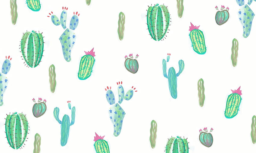 Cactus HD wallpaper | Pxfuel