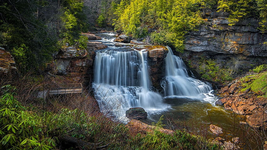 Blackwater Falls, West Virginia, rocks, river, cascades, trees, forest, usa HD wallpaper